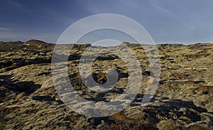 Huge old lava fields overgrown with Icelandic moss in an open-air emerald color