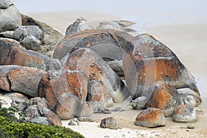 Huge orange bolders at Squeaky Beach in Wilsons Promontory, Victoria, Australia