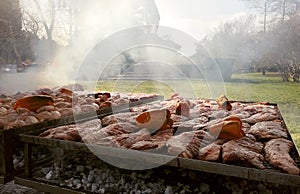 huge outdoor barbecue street food in a park