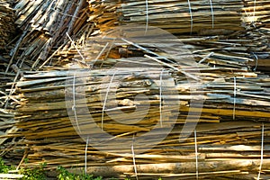 Huge pile of large sawn logs bars from the forest