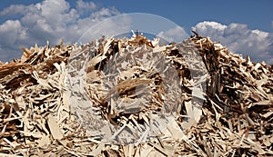 Huge pile of wood waste for recycling