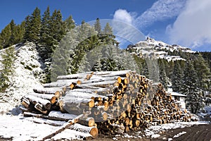 Huge piles of logs for a lumber factory in Carezza in Trentino Alto Adige