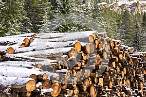 Huge piles of logs for a lumber factory in Carezza in Trentino Alto Adige