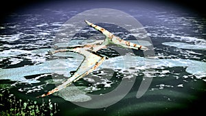 Huge pterodactyl over land