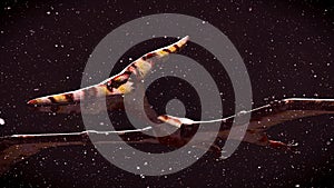 Huge pterodactyl over land