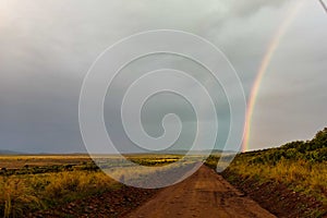 Huge Rainbow in in Savannah in Masai Mara, Kenya