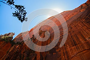 Huge red rocks in Zion Canyon National Park, Utah. USA. Wide shot, low angle, Sun. Hiking adventures, traveling, rocks