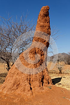 Huge red termite mound in Africa