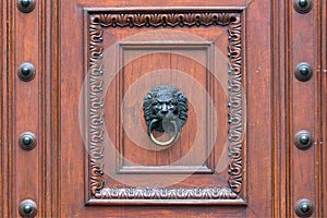 Huge restored bronze door with brass lions