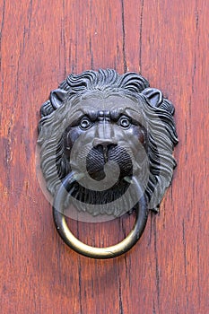 Huge restored bronze door with brass lions