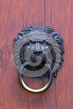 Huge restored bronze door with brass lions