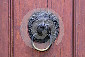 Huge restored bronze door with brass lions