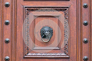 Huge restored bronze door with brass lions