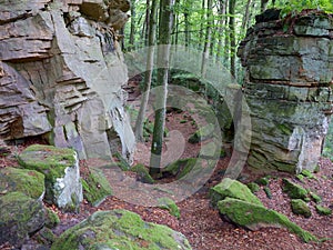 Rocks on the Mullerthal Trail in Berdorf, Luxembourg photo
