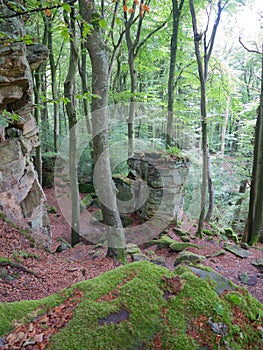 Huge Rock on the Mullerthal Trail in Berdorf, Luxembourg photo