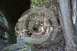Huge rocks in evergreen forest