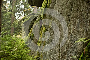 Huge rocks in the forest