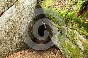 Huge rocks in the forest