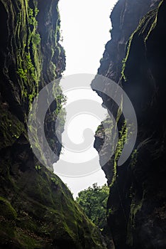 Huge rocks in forest