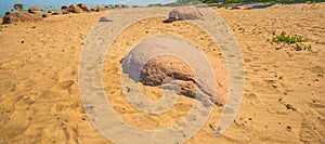 Huge rocks on the Gulf of Finland beach. Saint Petersburg, Russia