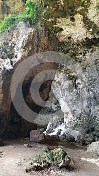 Huge rocks with vegatation inside a cave in Loiza, Puerto Rico photo