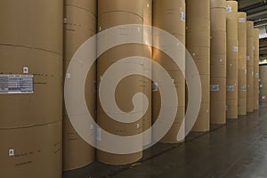 Huge Rolls Of Paper In Newspaper Factory