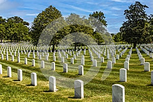 Huge rows of the Arlington National Military Cemetery in the state of Virginia. A few kilometers from the capital of the USA,