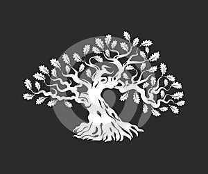 Huge and sacred oak tree silhouette logo badge isolated on dark background.