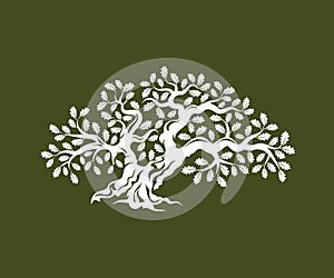 Huge and sacred oak tree silhouette logo badge isolated on green background.