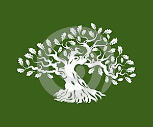 Huge and sacred oak tree silhouette logo badge isolated on green background.