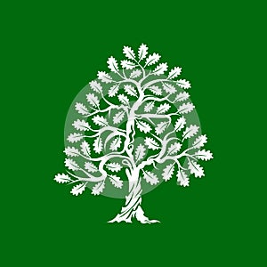 Huge and sacred oak tree silhouette logo badge isolated on green background.