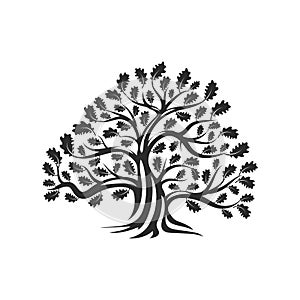 Huge and sacred oak tree silhouette logo badge isolated on white background.