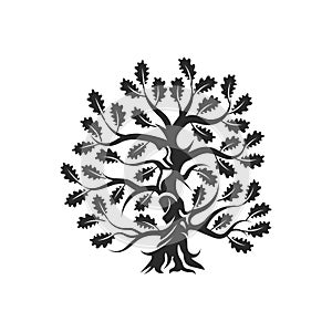 Huge and sacred oak tree silhouette logo badge isolated on white background.