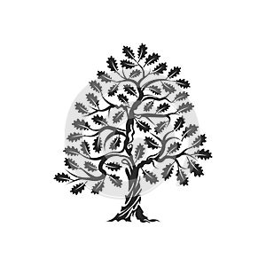 Huge and sacred oak tree silhouette logo badge isolated on white background.