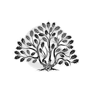 Huge and sacred oak tree silhouette logo badge isolated on white background