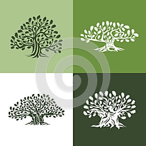 Huge and sacred oak tree silhouette logo isolated on background.