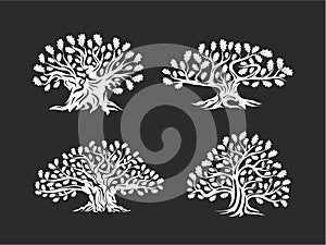 Huge and sacred oak tree silhouette logo isolated on background.