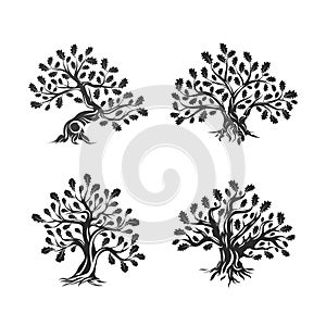 Huge and sacred oak tree silhouette logo isolated on white background.