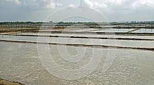 huge salt fields near kampot