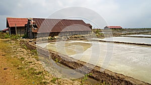 huge salt fields near kampot