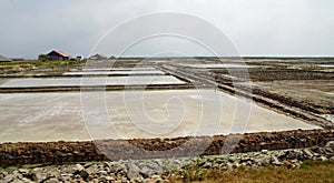 huge salt fields near kampot