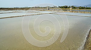 huge salt fields near kampot