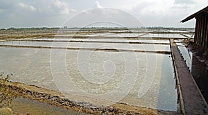 huge salt fields near kampot