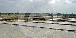 huge salt fields near kampot