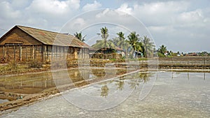 huge salt fields near kampot