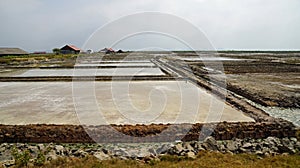 huge salt fields near kampot