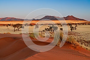 huge sand dunes in the Namib Desert