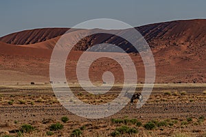 Huge sand dunes in the Namib Desert