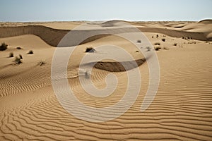 Huge dunes of the desert. Growth of deserts on Earth