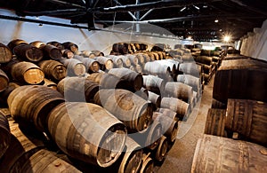 Huge space of traditional winery with dark wine cellar gallery and numbers of wooden barrels for winemaking